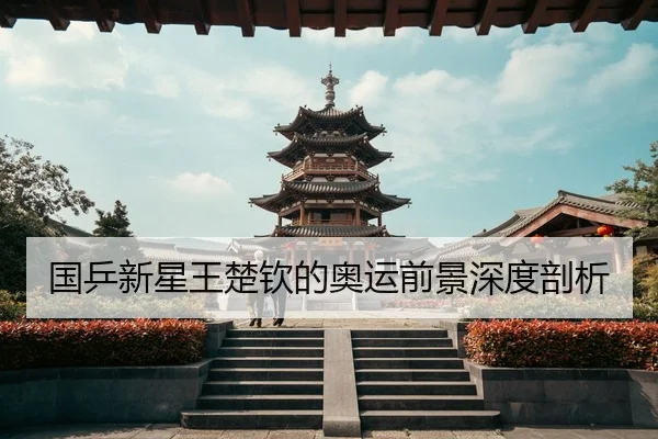 国乒新星王楚钦的奥运前景深度剖析
